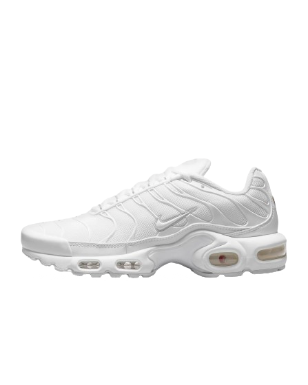 Nike Air Max Plus Full White