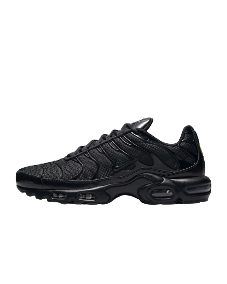 Nike Air Max Plus Full Black